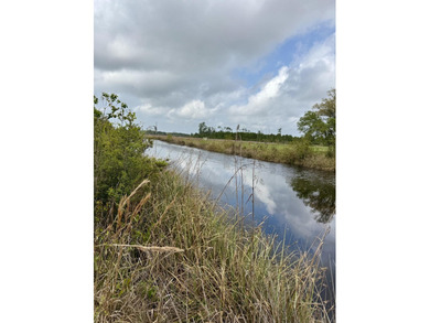 WAIT WHAT?? WATERFRONT LOT IN BAY ST LOUIS FOR $24,500?? Don't - photo 1
