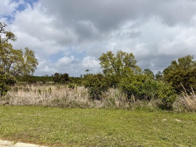 WAIT WHAT?? WATERFRONT LOT IN BAY ST LOUIS FOR $24,500?? Don't - photo 2