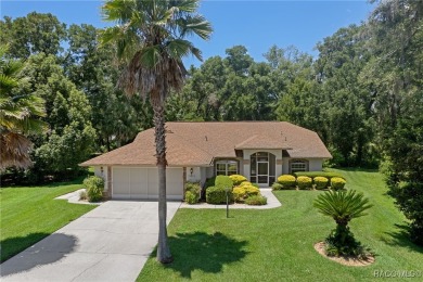 Lake Home Sale Pending in Hernando, Florida