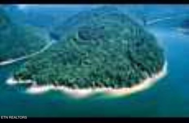 (private lake, pond, creek) Acreage For Sale in Speedwell Tennessee