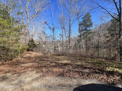 Want a large acreage tract with each individual lot having lake - photo 3