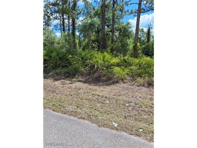 Lehigh Acres Area Lot For Sale in Lehigh Acres Florida