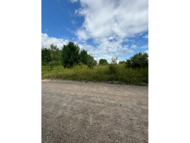 Big Evans Lake Lot For Sale in Rodney Michigan