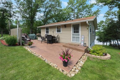 Lake Home For Sale in Munson Twp, Minnesota