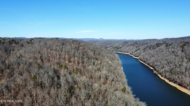 Want a large acreage tract with lake frontage? This lot is for - Lake Acreage For Sale in Speedwell, Tennessee