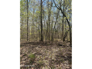 Want a large acreage tract with lake frontage? This lot is for - photo 2