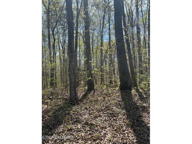 Want a large acreage tract with lake frontage? This lot is for - photo 3