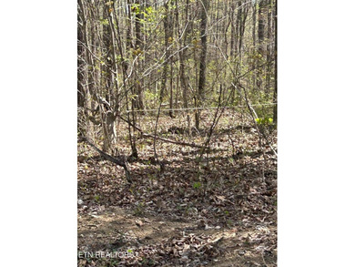 Want a large acreage tract with lake frontage? This lot is for - photo 5