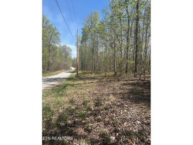 Want a large acreage tract with lake frontage? This lot is for - photo 6