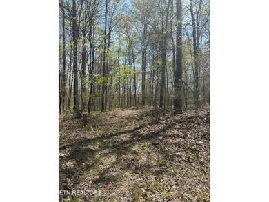 Want a large acreage tract with lake frontage? This lot is for - photo 7