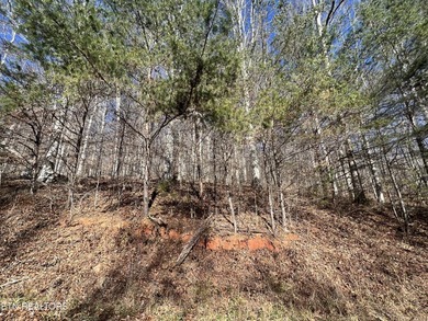 Want a large acreage tract with lake frontage? This lot is for - photo 8