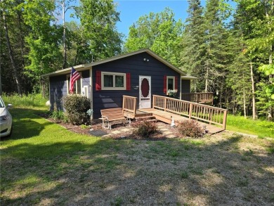 Lake Home For Sale in Deerfield Twp, Minnesota