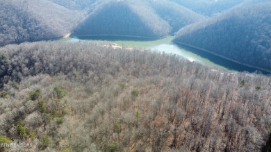 Lake Acreage For Sale in Speedwell, Tennessee