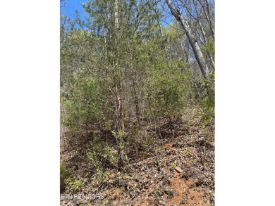 Want a large acreage tract with having lake frontage? This lot - photo 2