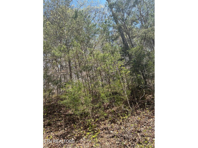 Want a large acreage tract with having lake frontage? This lot - photo 3