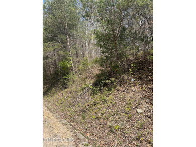 Want a large acreage tract with having lake frontage? This lot - photo 4