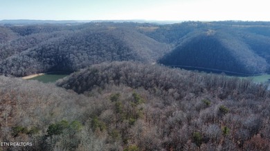 Want a large acreage tract with having lake frontage? This lot - photo 7