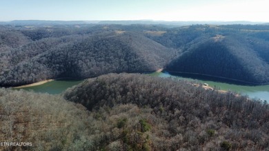 Want a large acreage tract with lake frontage? These two lots - photo 3