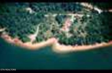 Want a large acreage tract with lake frontage? These two lots - photo 5