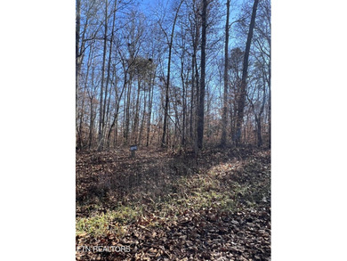 Want a large acreage tract with lake frontage? These two lots - photo 7
