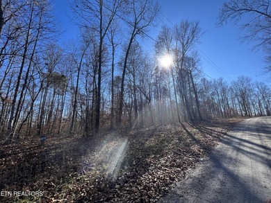 Want a large acreage tract with lake frontage? These two lots - photo 8