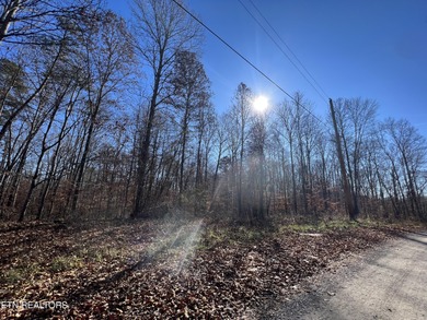 Want a large acreage tract with lake frontage? These two lots - photo 9