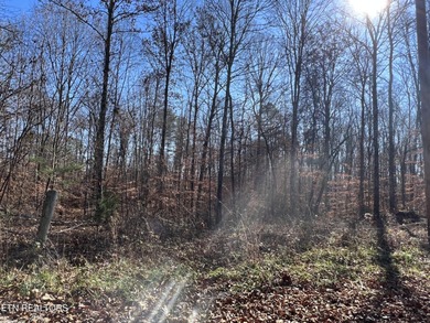 Want a large acreage tract with lake frontage? These two lots - photo 10