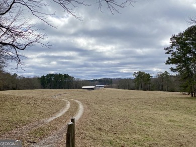 Lake Acreage For Sale in Dallas, Georgia