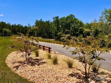 Discover the beauty of NatureWalk at Pond Creek, one of the most - photo 29