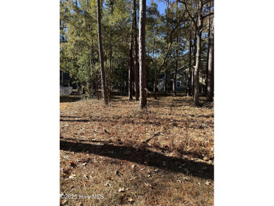 Lockwoods Folly River Lot For Sale in Bolivia North Carolina