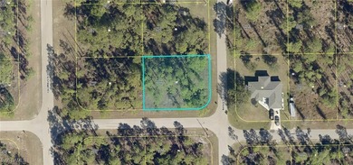 Lehigh Acres Area Lot For Sale in Lehigh Acres Florida