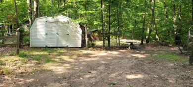Lake Lot For Sale in Custer, Michigan