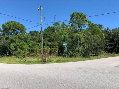Lake Lot For Sale in Lake Placid, Florida