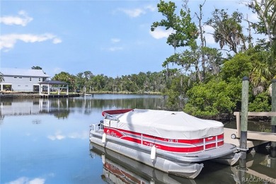 Timeless waterfront living meets coastal charm on Kings Bay - photo 41