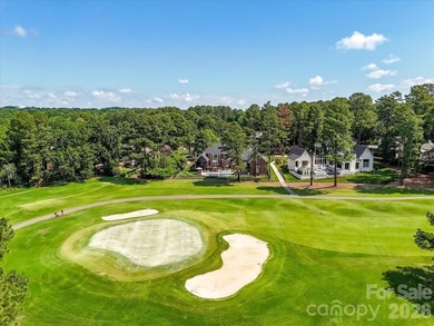Completely reimagined luxury estate on one of Cabarrus Country - photo 44