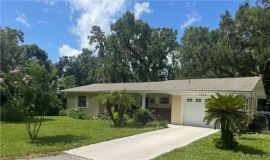 Lake Home For Sale in Floral City, Florida