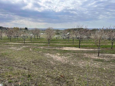 This 56.3 Acre Cherry Farm offers Spectacular Views of both Bays - photo 5