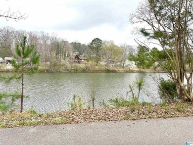 Lake Lot For Sale in Birmingham, Alabama