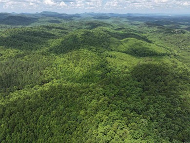 (private lake, pond, creek) Acreage For Sale in Mena Arkansas