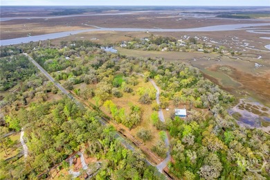 (private lake, pond, coastal) Lot Active Under Contract in Midway Georgia