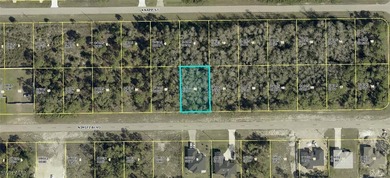 Lehigh Acres Area Lot For Sale in Lehigh Acres Florida