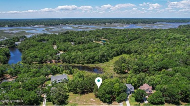(private lake, pond, creek) Lot For Sale in Supply North Carolina