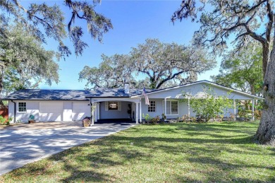 Lake Home For Sale in Brandon, Florida