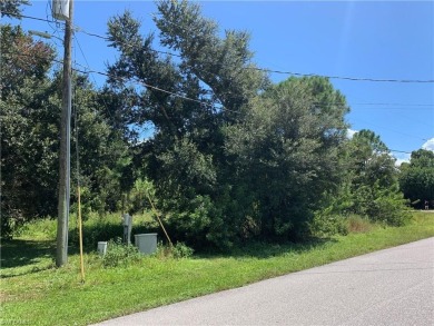 Lake Lot For Sale in Lake Placid, Florida