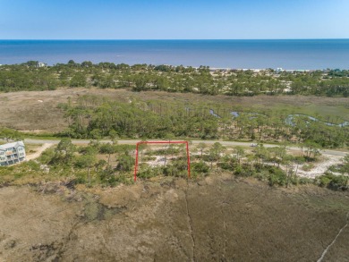 Gulf of Mexico - St. Petersburg Lot For Sale in Alligator Point Florida