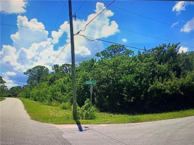 Lake Lot For Sale in Lake Placid, Florida