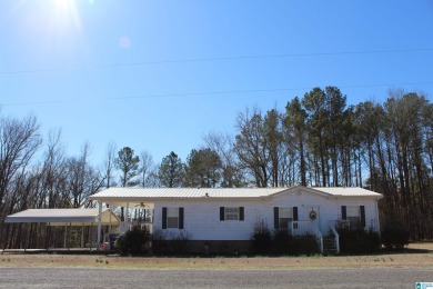 Coosa River - St. Clair County Home For Sale in Ragland Alabama