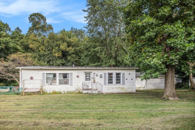 Lake Home For Sale in Colon, Michigan