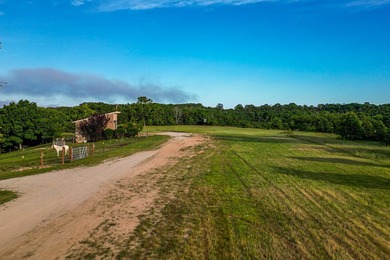 Welcome to Perfect Landing Airpark -- an extraordinary - photo 41