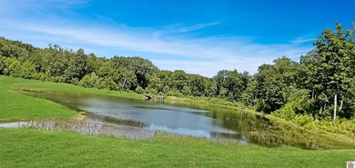 Welcome to Western Shores, one of Western Kentucky's premier - photo 45